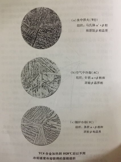 1520843011910704.jpg 7-14.jpg