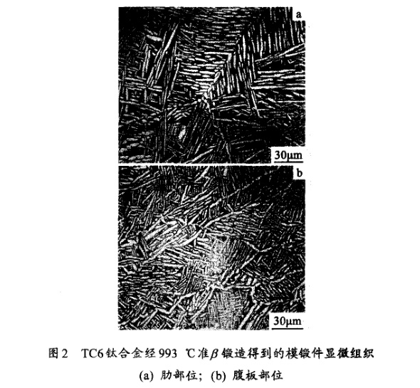 TC6鈦合金經(jīng)993℃準β鍛造得到的模鍛件顯微組織(a) 肋部位;(b) 腹板部位 TC6鈦合金經(jīng)993℃準β鍛造得到的模鍛件顯微組織(a) 肋部位;(b) 腹板部位