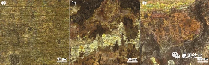 圖3 周浸腐蝕實驗后3組試樣中的316L不銹鋼表面形貌 圖3 周浸腐蝕實驗后3組試樣中的316L不銹鋼表面形貌g
