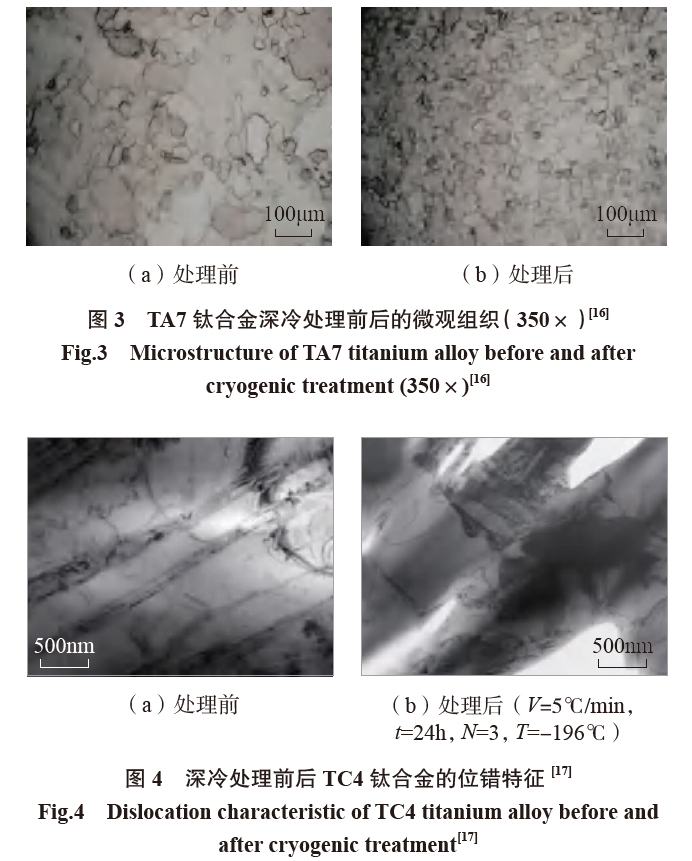 1658934844723911.jpg 未標題-23.jpg