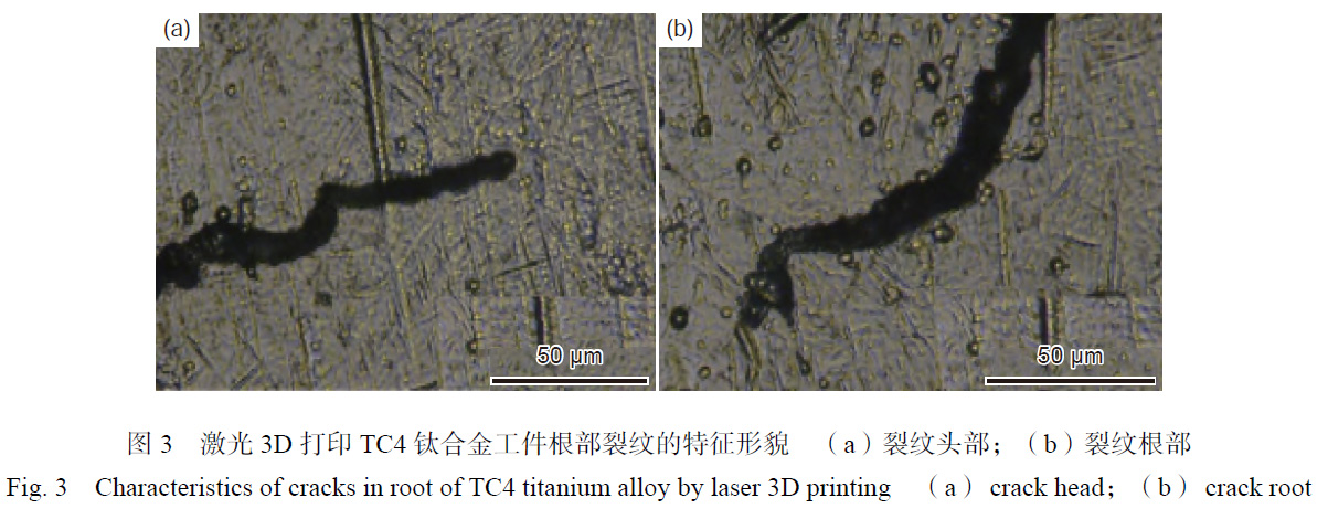 1673343952965253.jpg t3.jpg