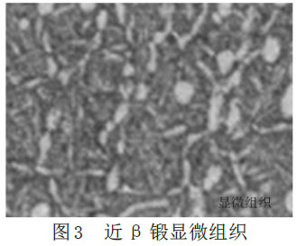 1677365151767294.jpg 3.jpg