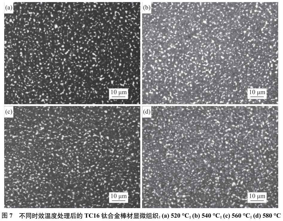 1688356962227020.jpg 360截圖16270902202116.jpg