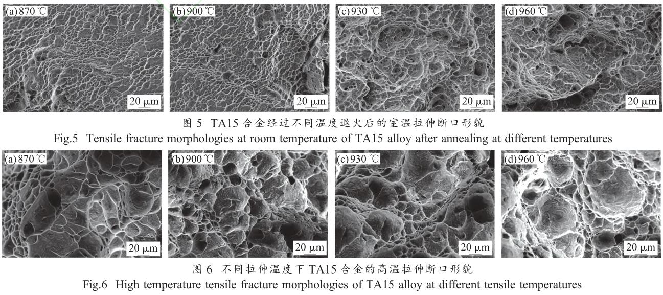 1688907198420015.jpg t5-6.jpg