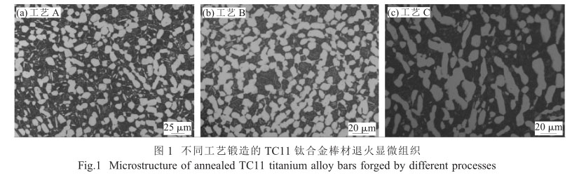 1690556832246065.jpg 3.jpg