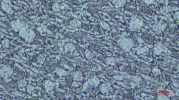 1691499455835314.jpg 7.jpg