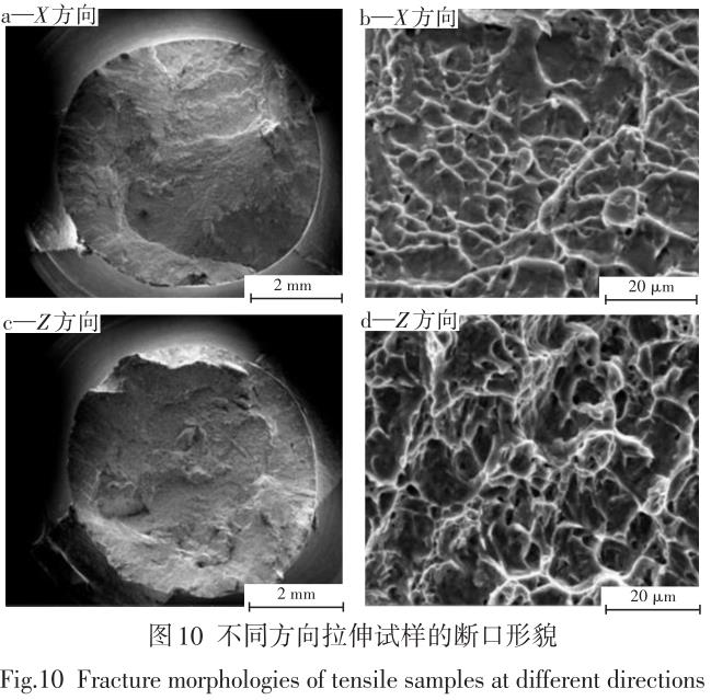 1695567559202702.jpg t10.jpg