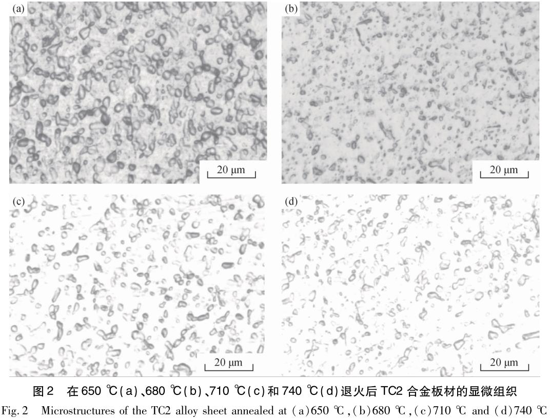 1696409368582522.jpg t2.jpg