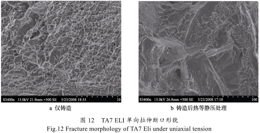 1699223217432432.jpg t12.jpg