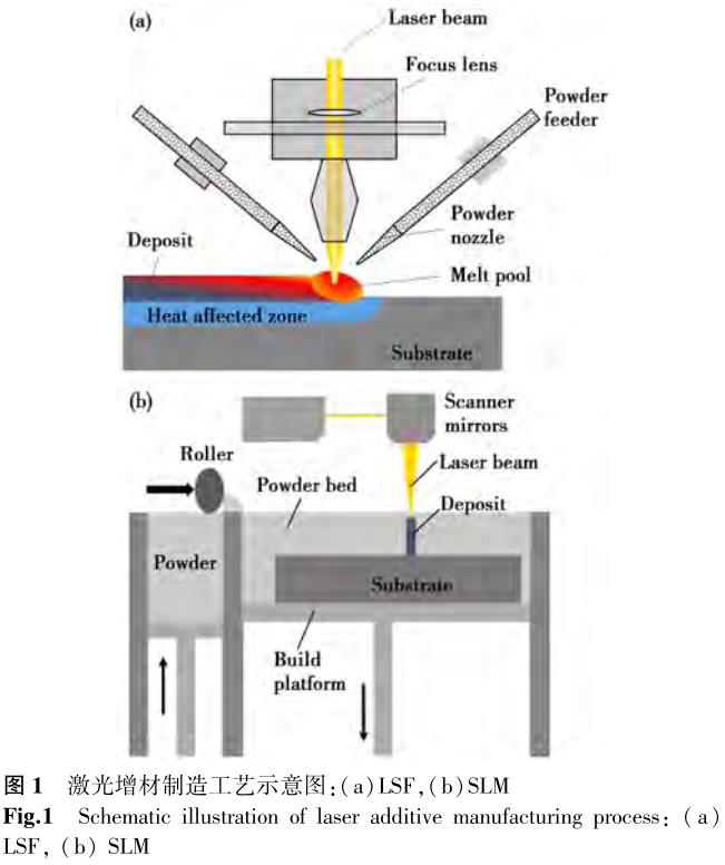 1699451398404743.jpg t1.jpg