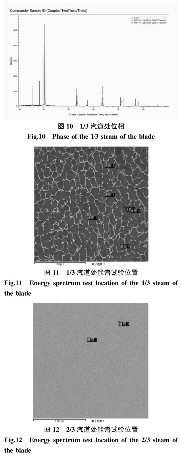 1700692064589917.jpg t10-12.jpg