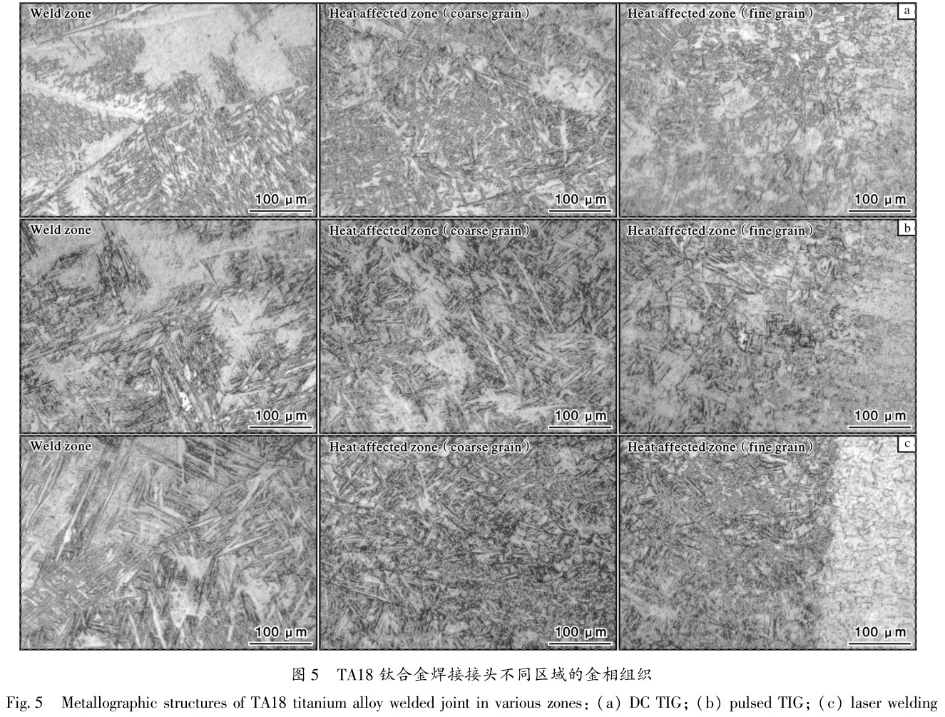 1701315051492939.jpg t5.jpg