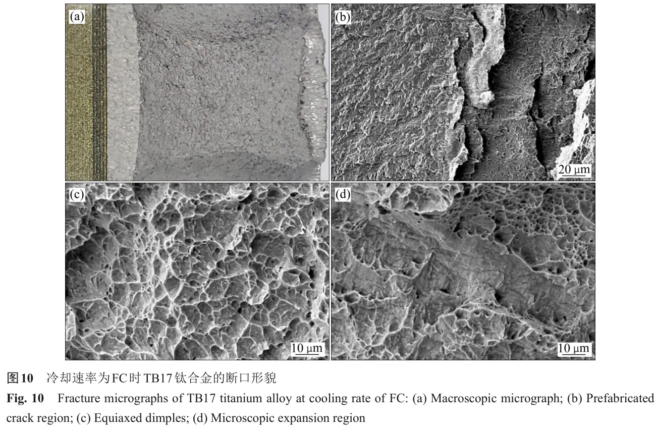 1701442292511371.jpg t10.jpg