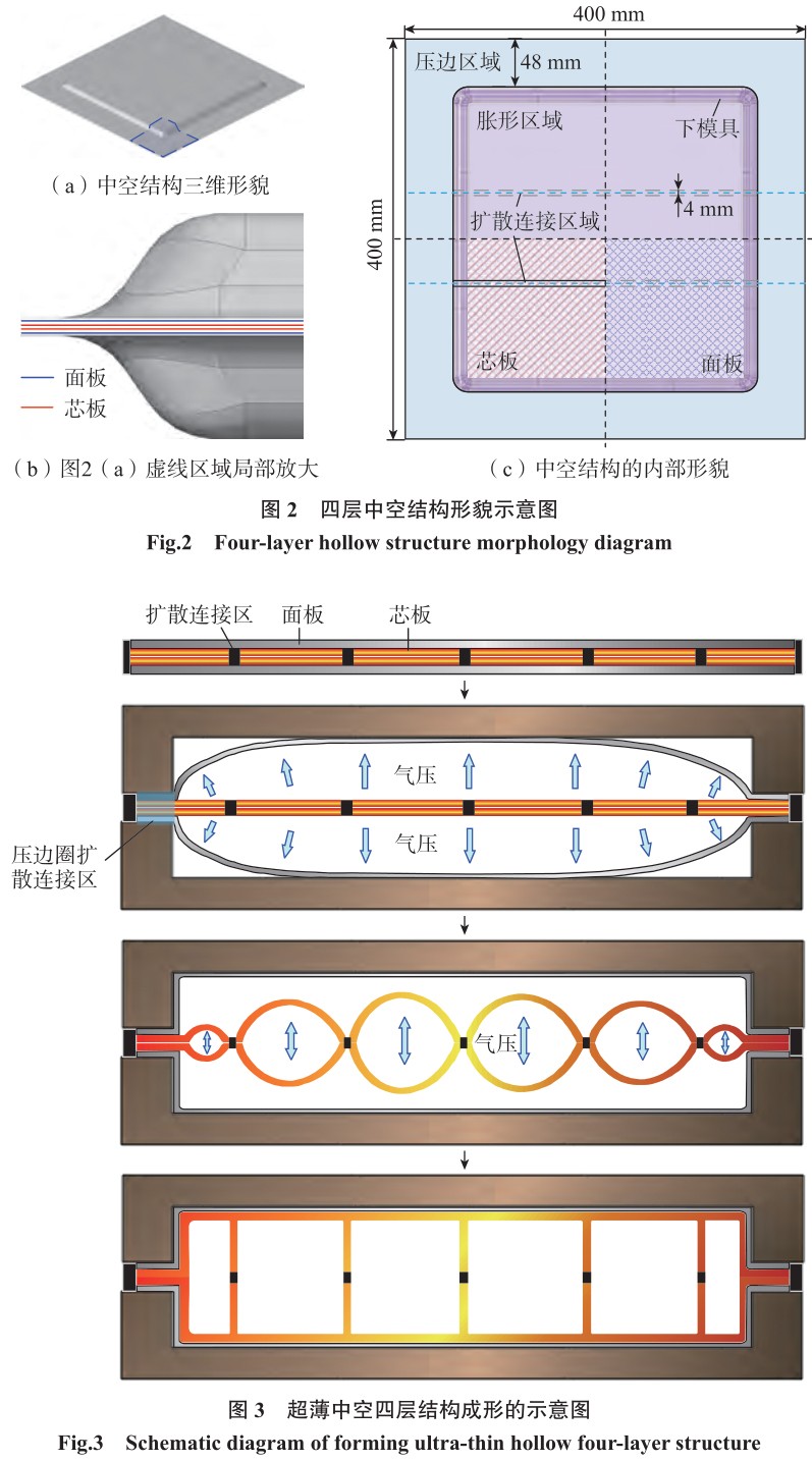 1702020116848972.jpg t2-3.jpg