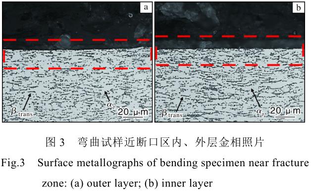 1706255451869279.jpg t3.jpg