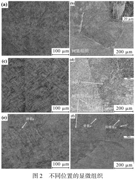 1708417723314369.jpg t2.jpg