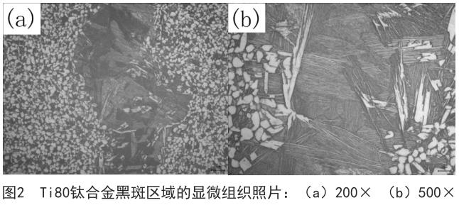 1708421920708732.jpg t2.jpg