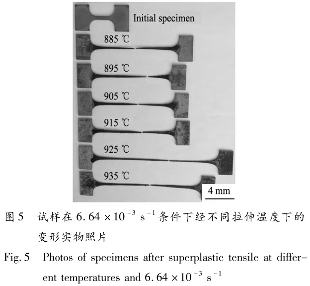 1713442895151231.jpg 未標(biāo)題-5.jpg