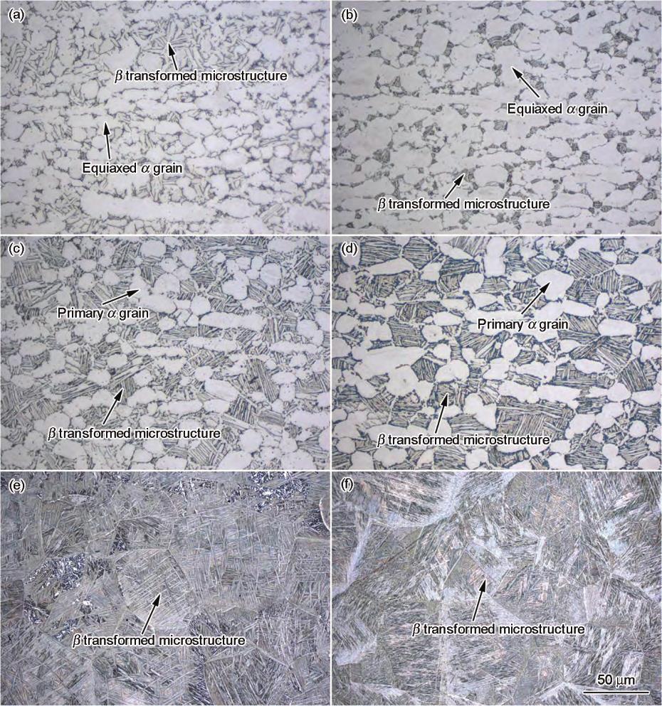 1713927827285575.jpg 2.jpg