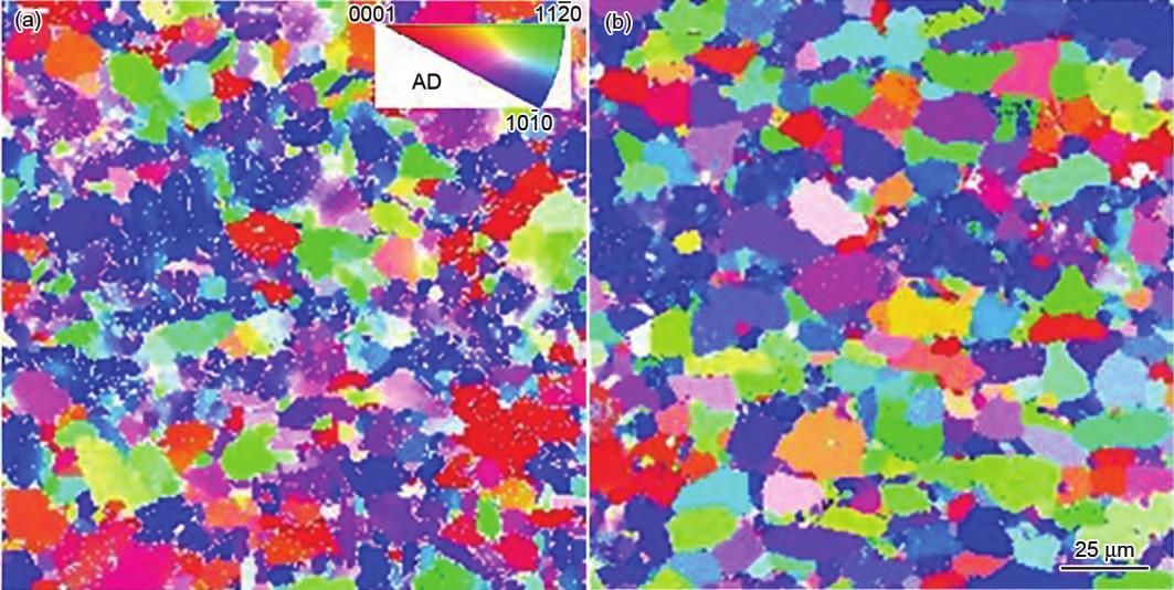 1713927971369896.jpg 5.jpg