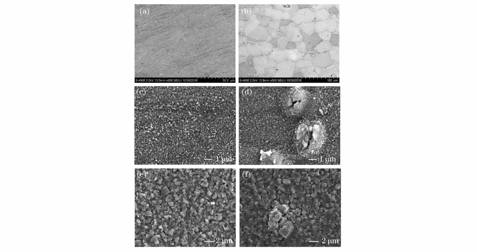 1720148289742595.jpg 3.jpg