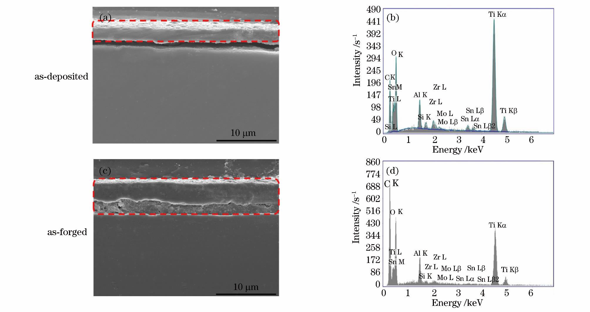 1720148384968460.jpg 7.jpg