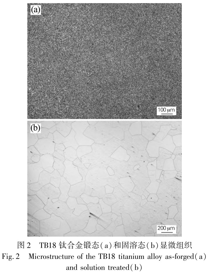 1721009902329493.jpg t2.jpg