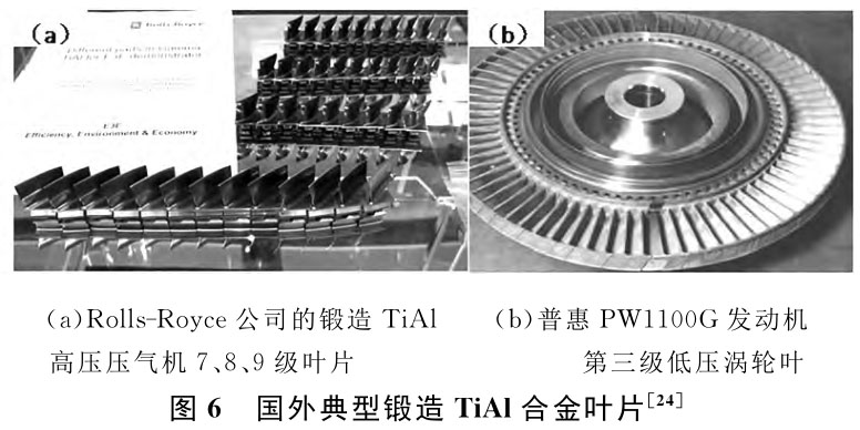 1722852973737196.jpg t6.jpg