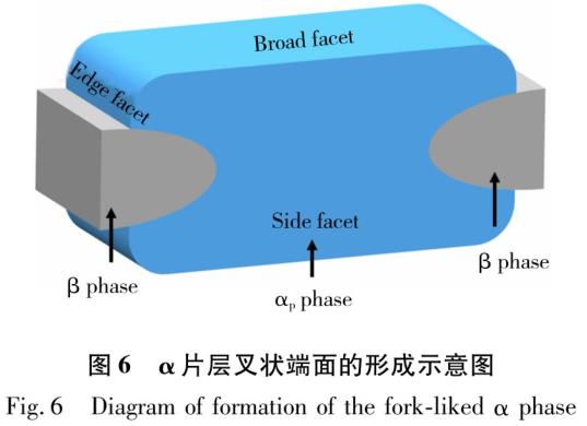 1723799200773951.jpg t6.jpg