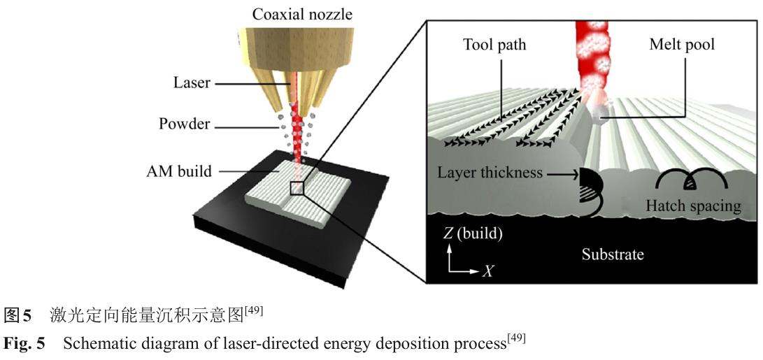 1724665050878665.jpg t5.jpg