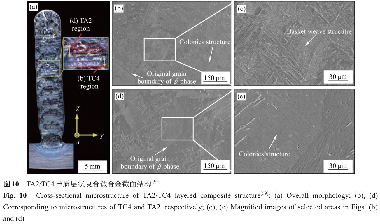 1724665091660516.jpg t10.jpg