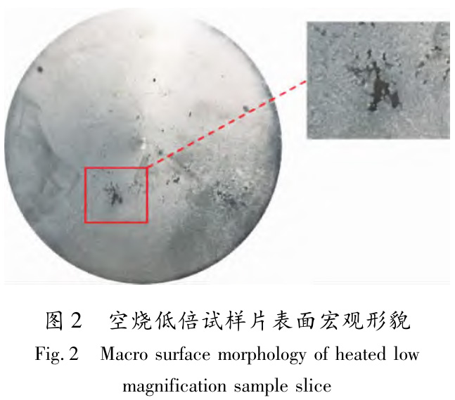 1730259012566417.jpg 2.jpg