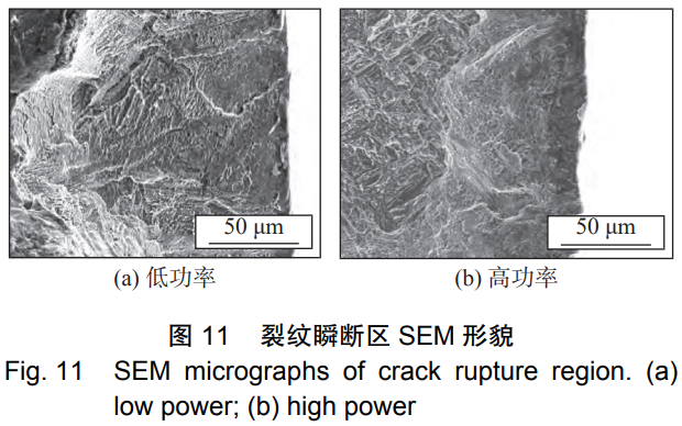 1731120089678029.png 11.png