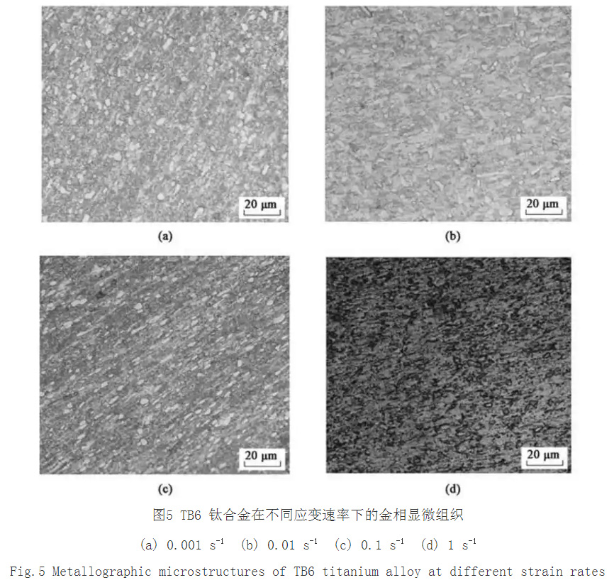 1733576672553509.jpg 5.jpg