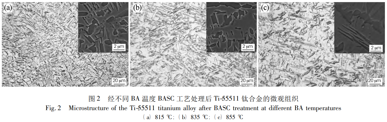 1735182051865691.png 2.png