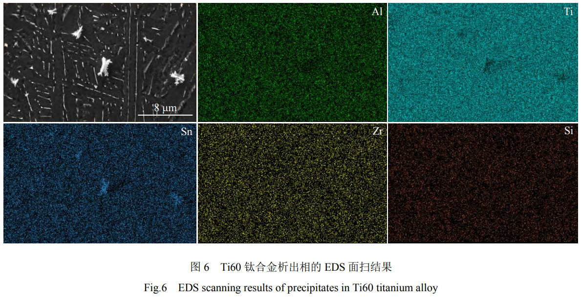 1739628357241617.png 6.png