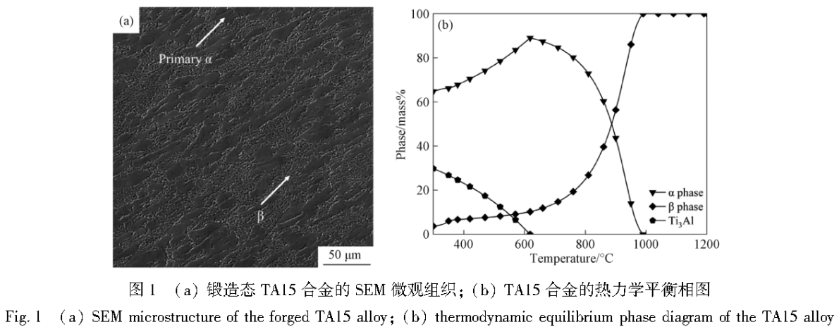 1743392155805780.png 截圖20250331112905.png
