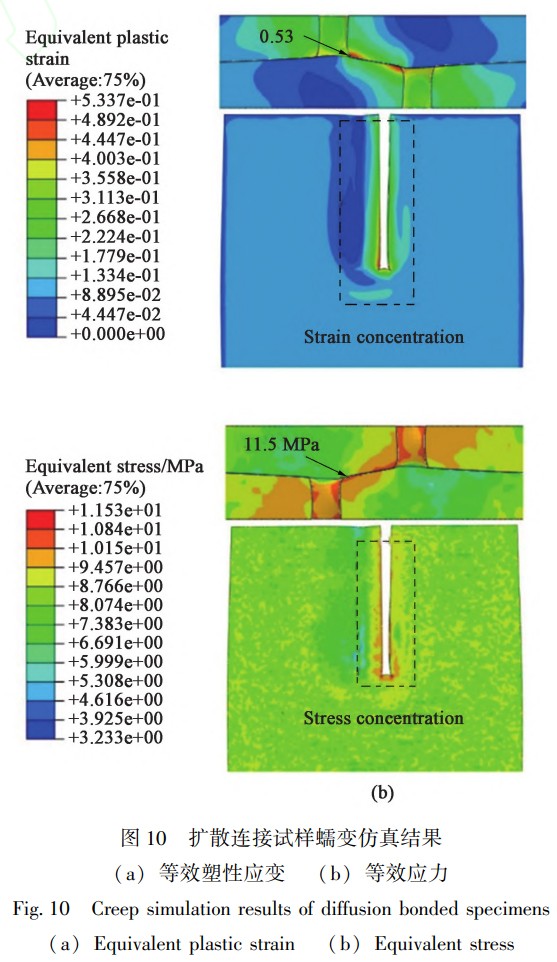 1746455802627360.jpg 10.jpg