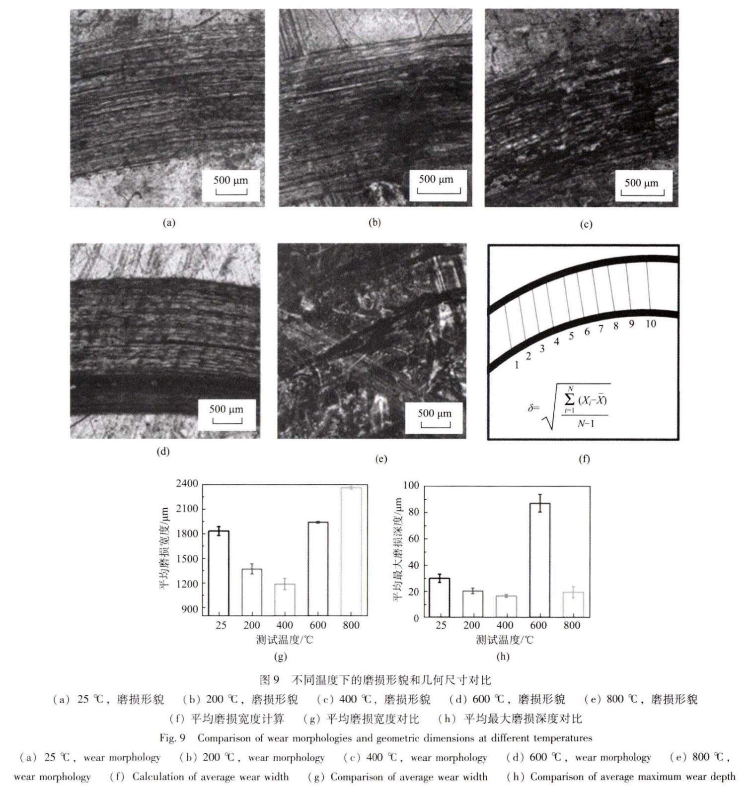 1747212804118186.jpg 9.jpg