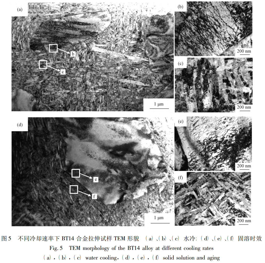 1760926137755335.jpg 未標題-2.jpg