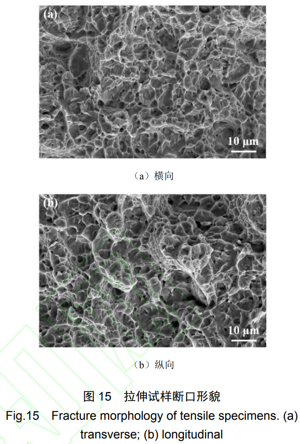 1764041093803625.jpg 15.jpg