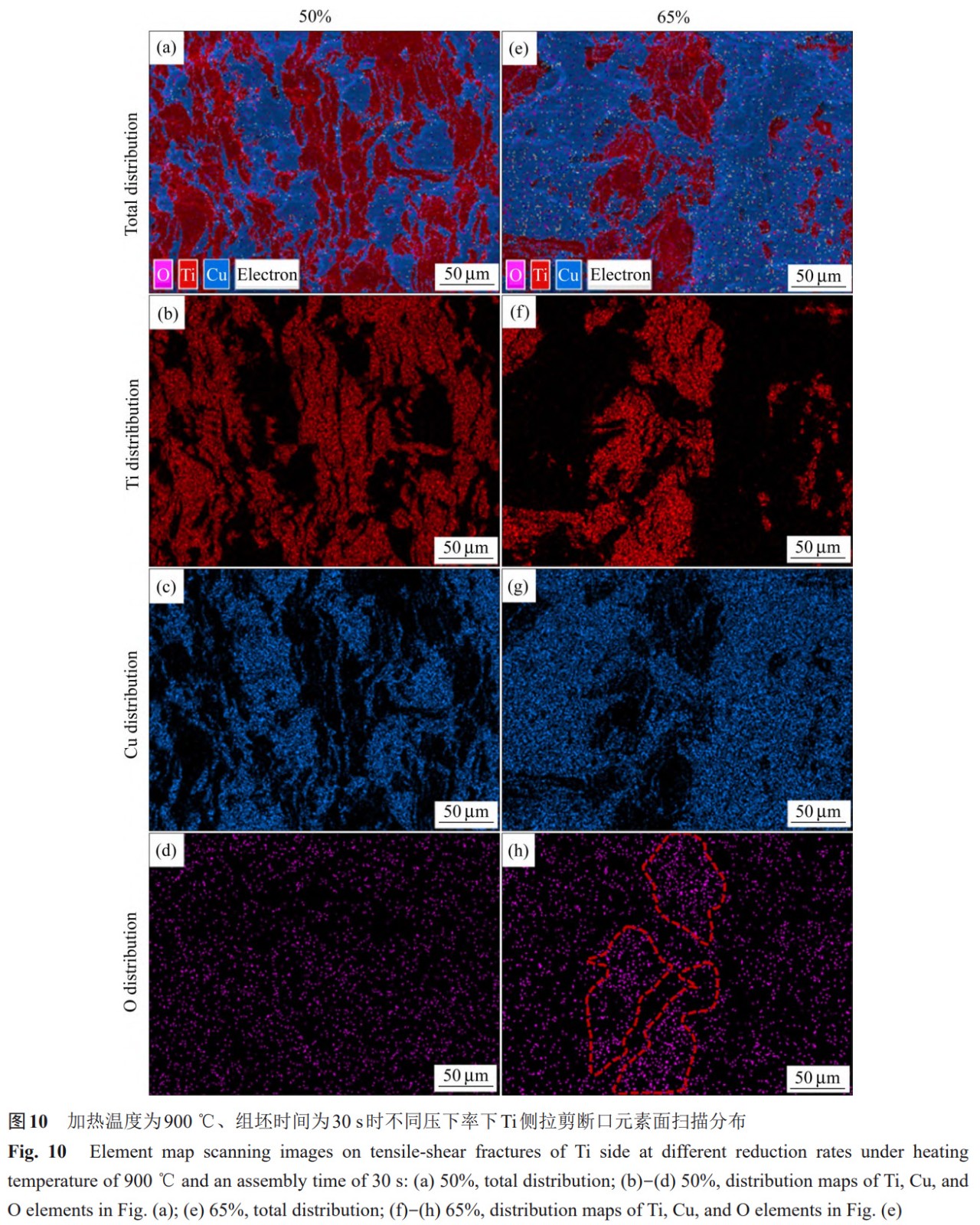 1766137521728242.jpg 10.jpg