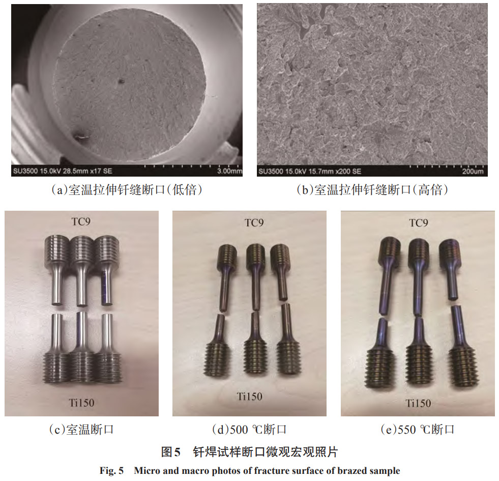 1768874782226983.jpg 5.jpg