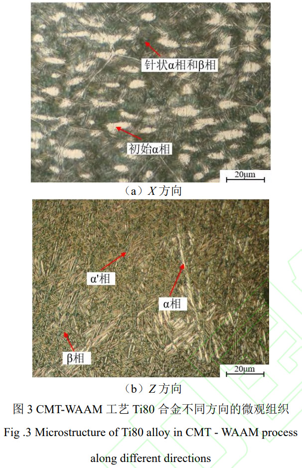 1768961332676564.jpg 3.jpg