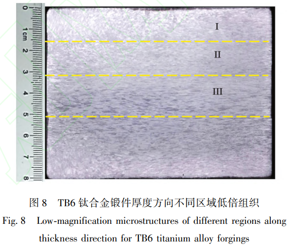 1769347206304566.png 8.png